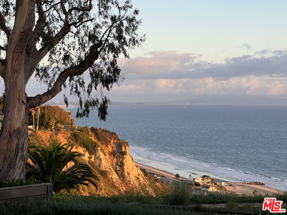 MLS #25559881 image #13