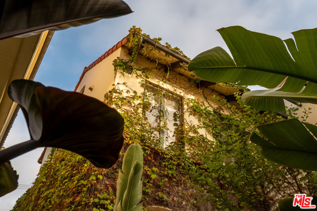 MLS #25560403 image #42