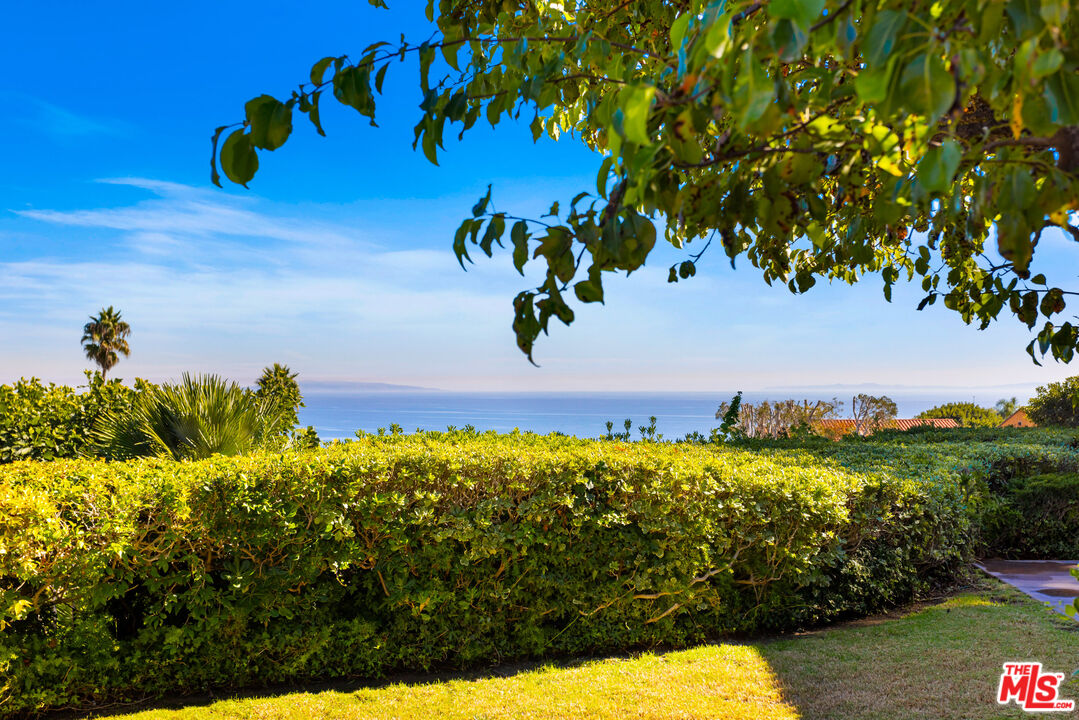 MLS #25561033 image #4