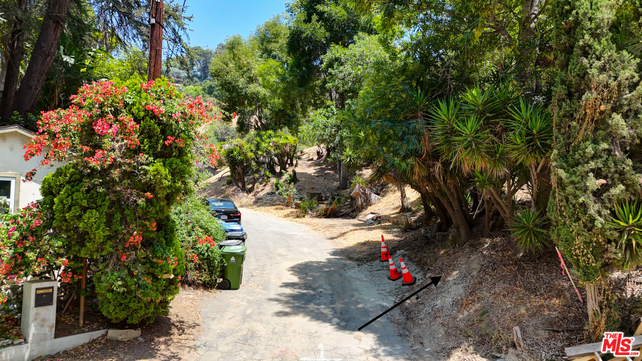 MLS #25561799 image #4