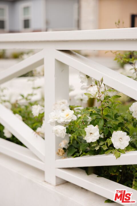 MLS #25562031 image #30