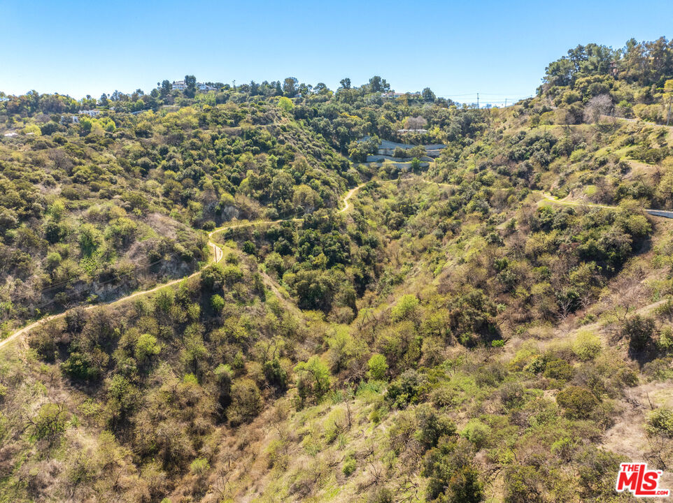 MLS #25566375 image #6