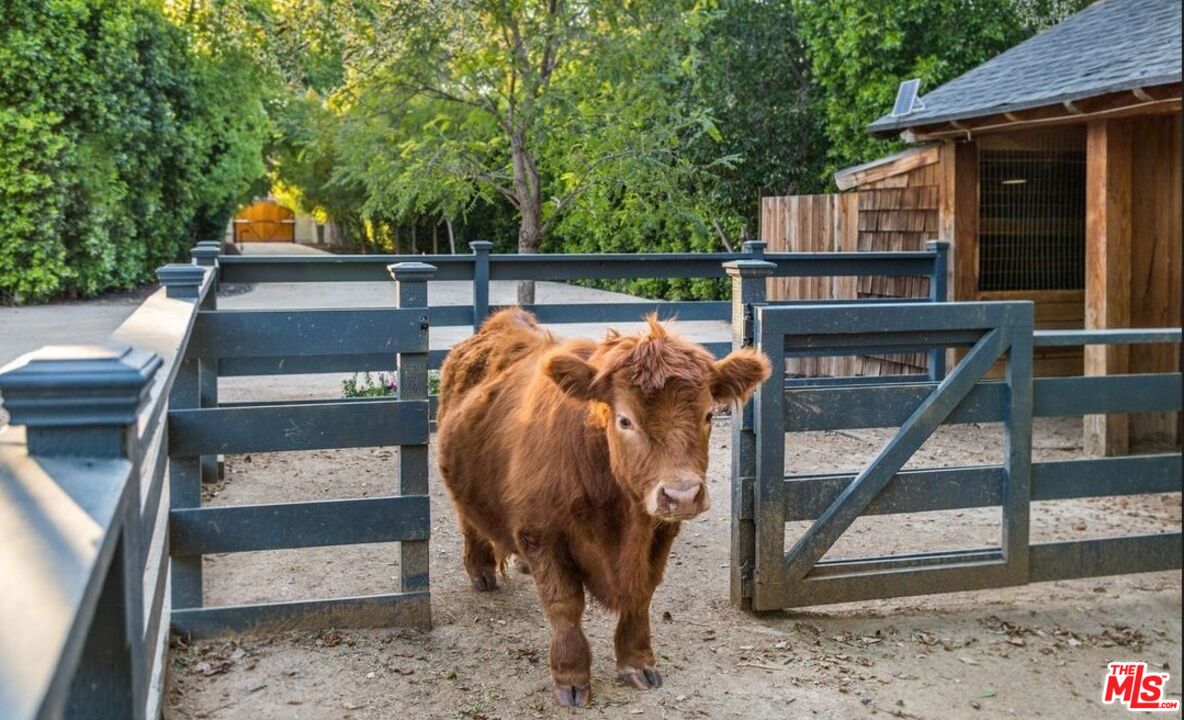 MLS #25571299 image #12