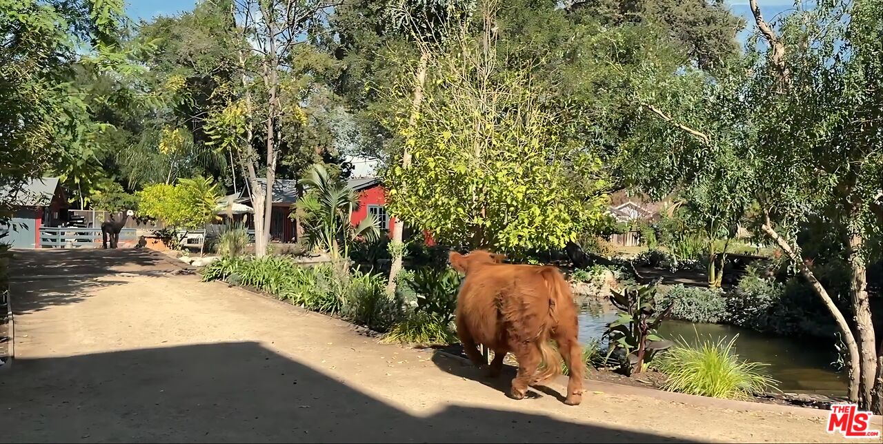 MLS #25571299 image #13