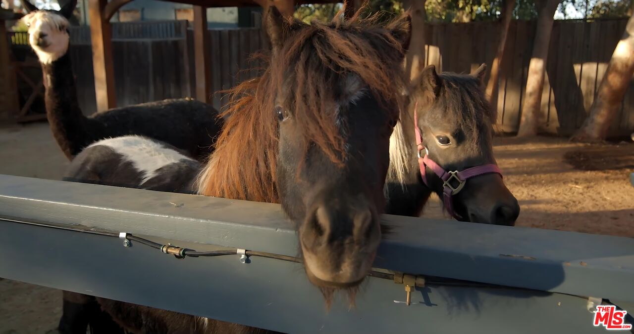 MLS #25571299 image #14