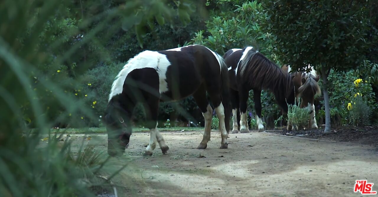 MLS #25571299 image #15