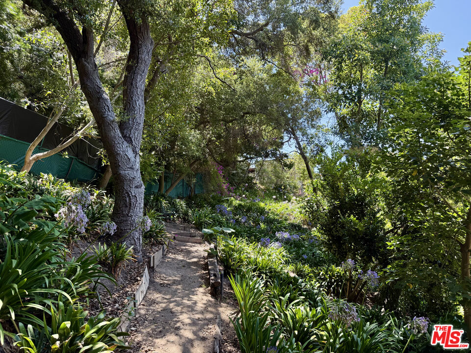 MLS #25572489 image #11