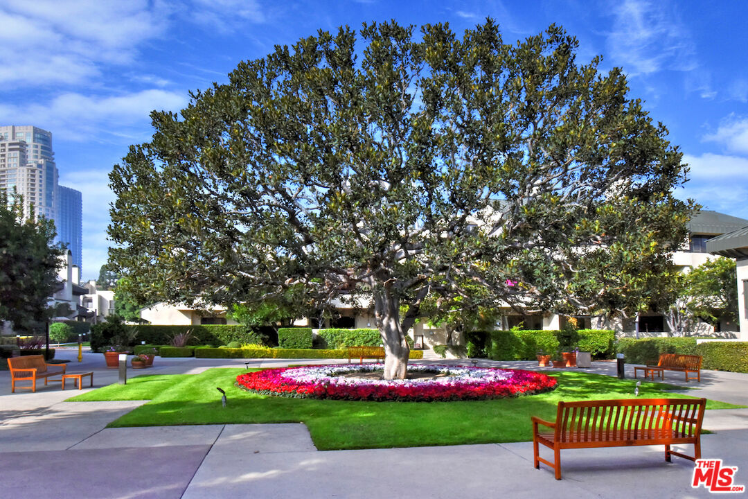 MLS #25576907 image #51