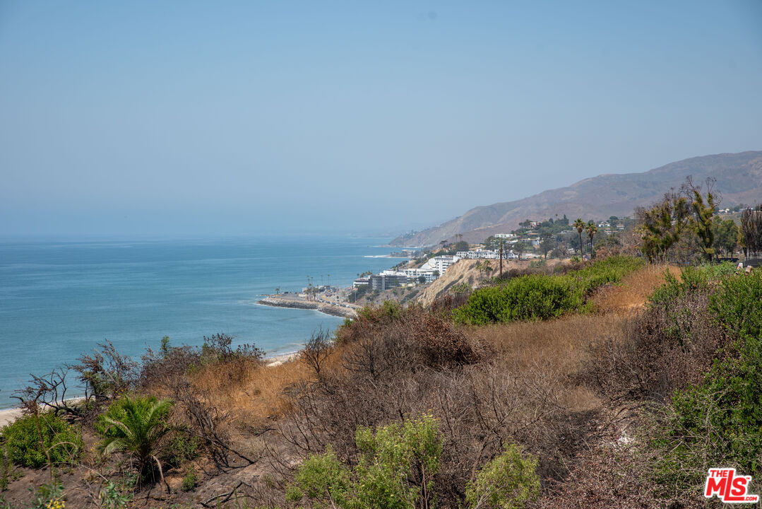 MLS #25578349 image #5