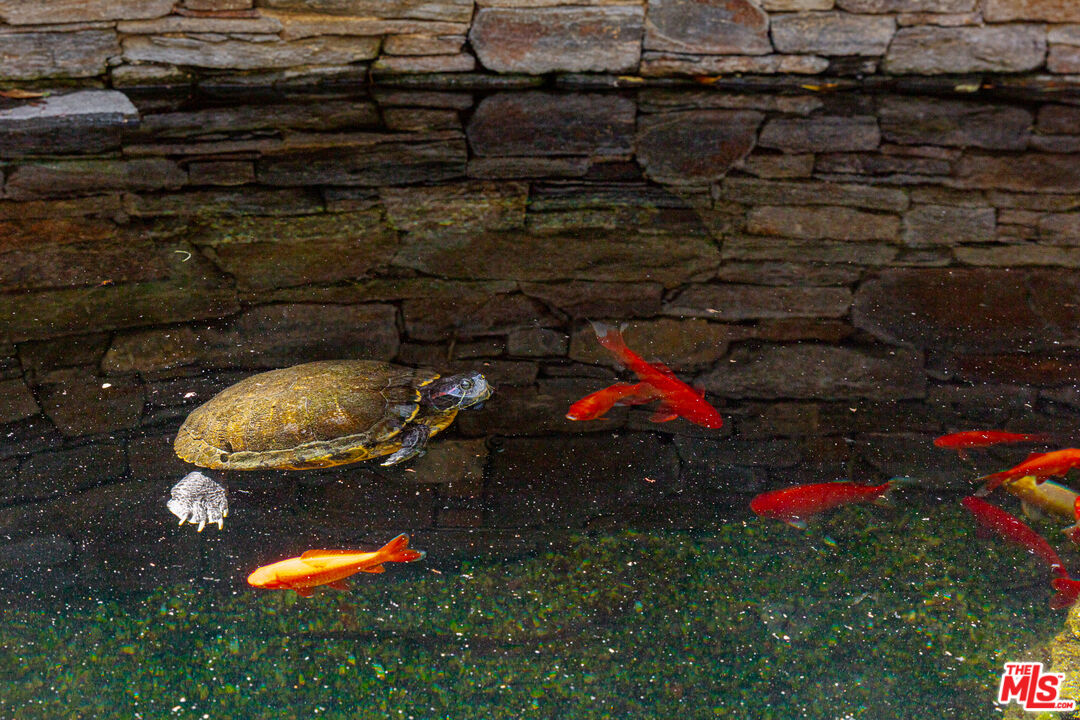 MLS #25581533 image #43