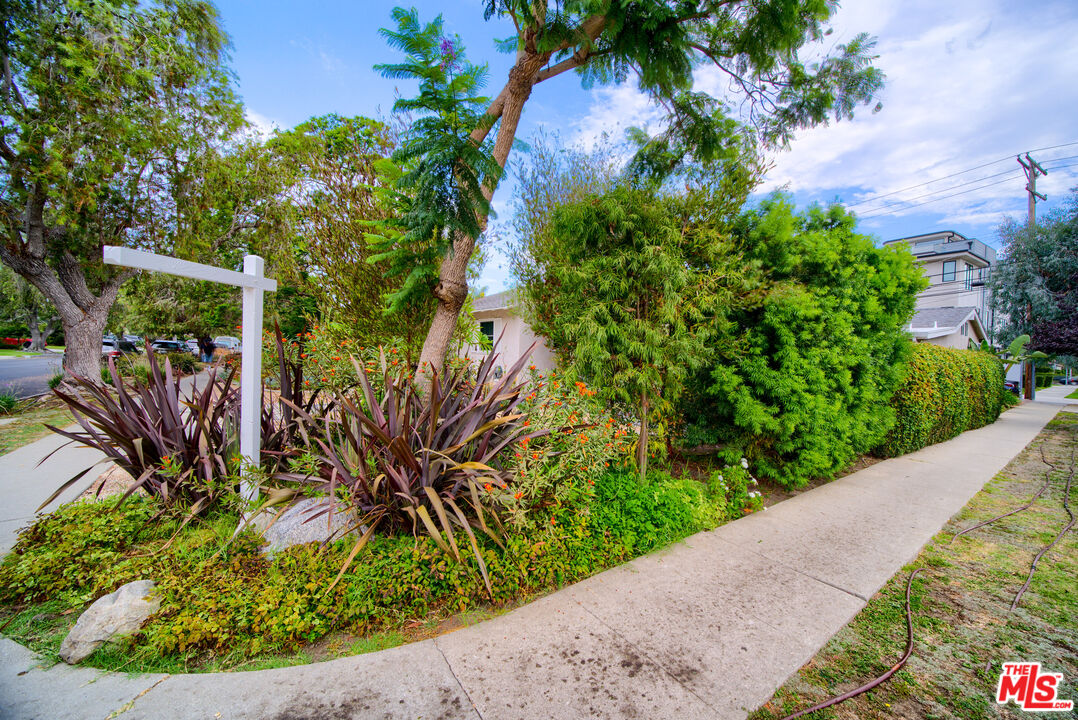 MLS #25581833 image #5