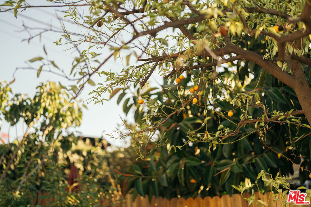 MLS #25583883 image #28