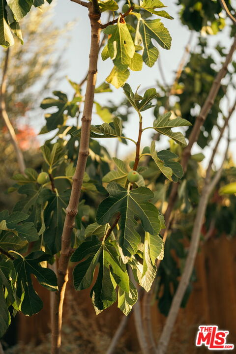 MLS #25583883 image #29