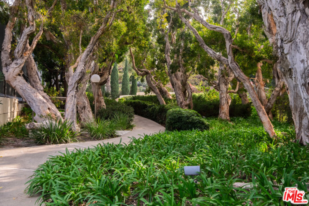 MLS #25585187 image #30