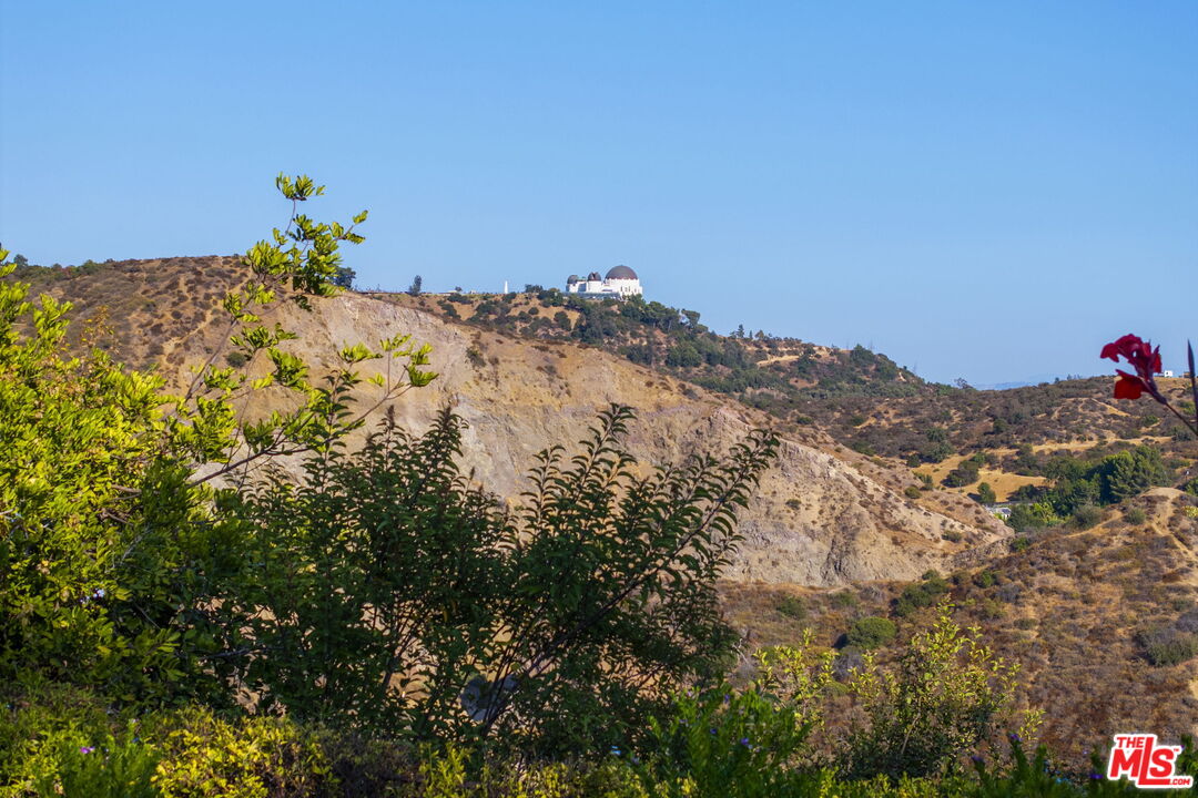 MLS #25585293 image #65