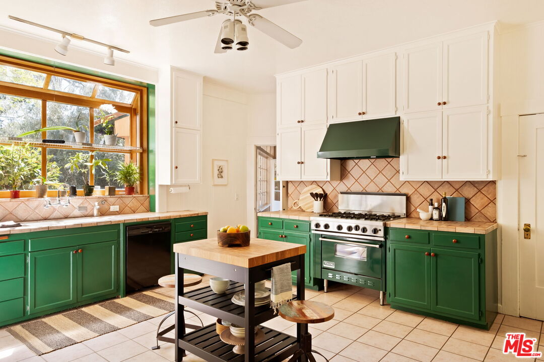 MLS #25585561 image #8