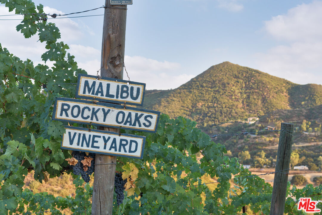 MLS #25589777 image #26