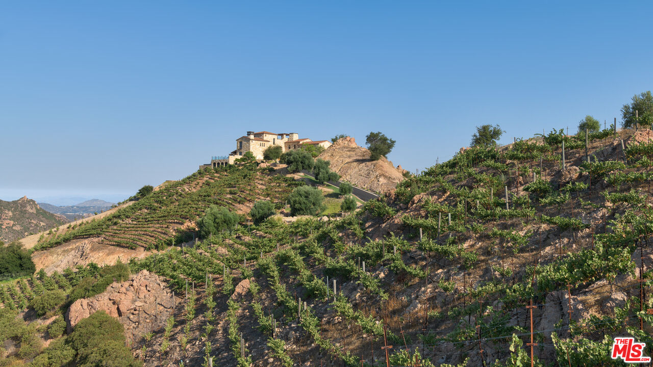 MLS #25589777 image #29