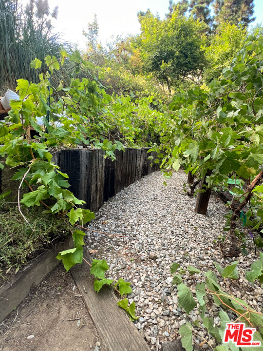 MLS #25590231 image #50