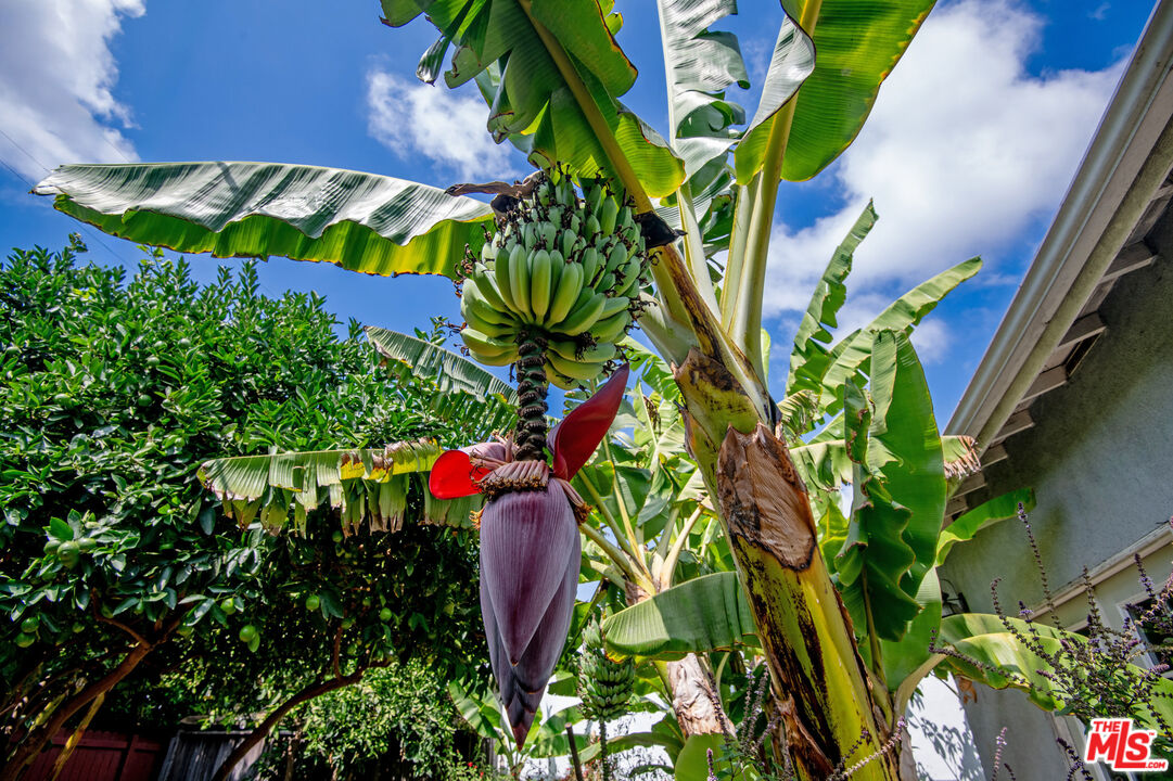 MLS #25590261 image #24