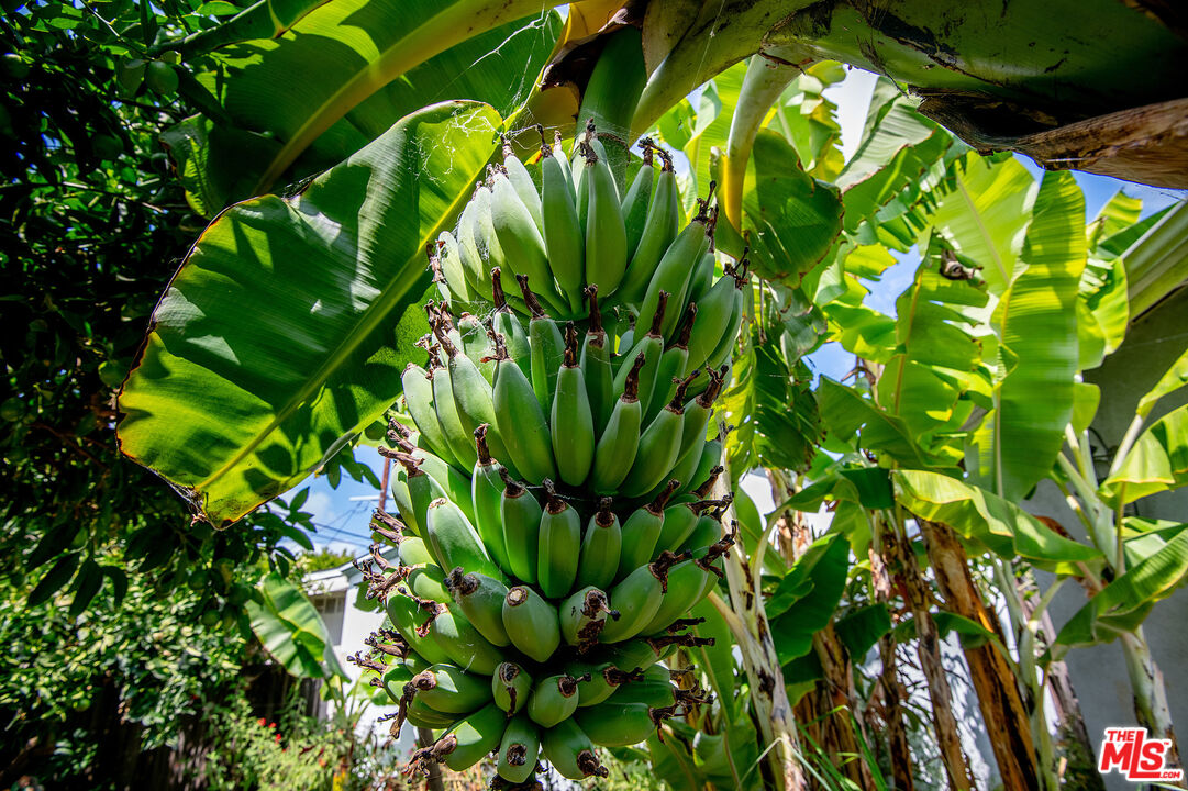 MLS #25590261 image #25