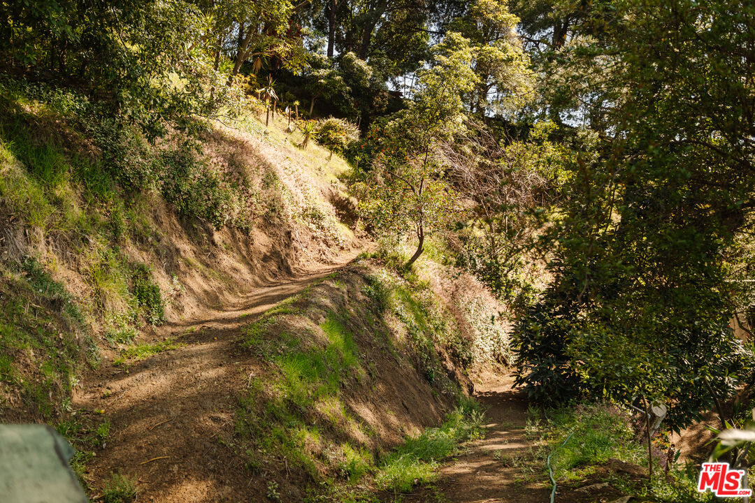 MLS #25590691 image #21