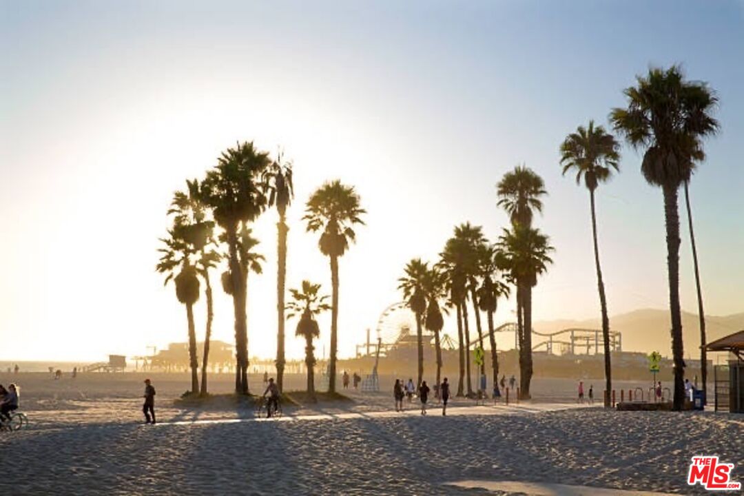 MLS #25592369 image #41