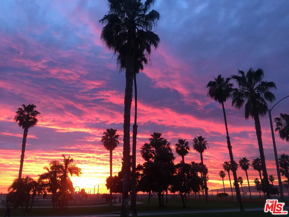 MLS #25592369 image #45