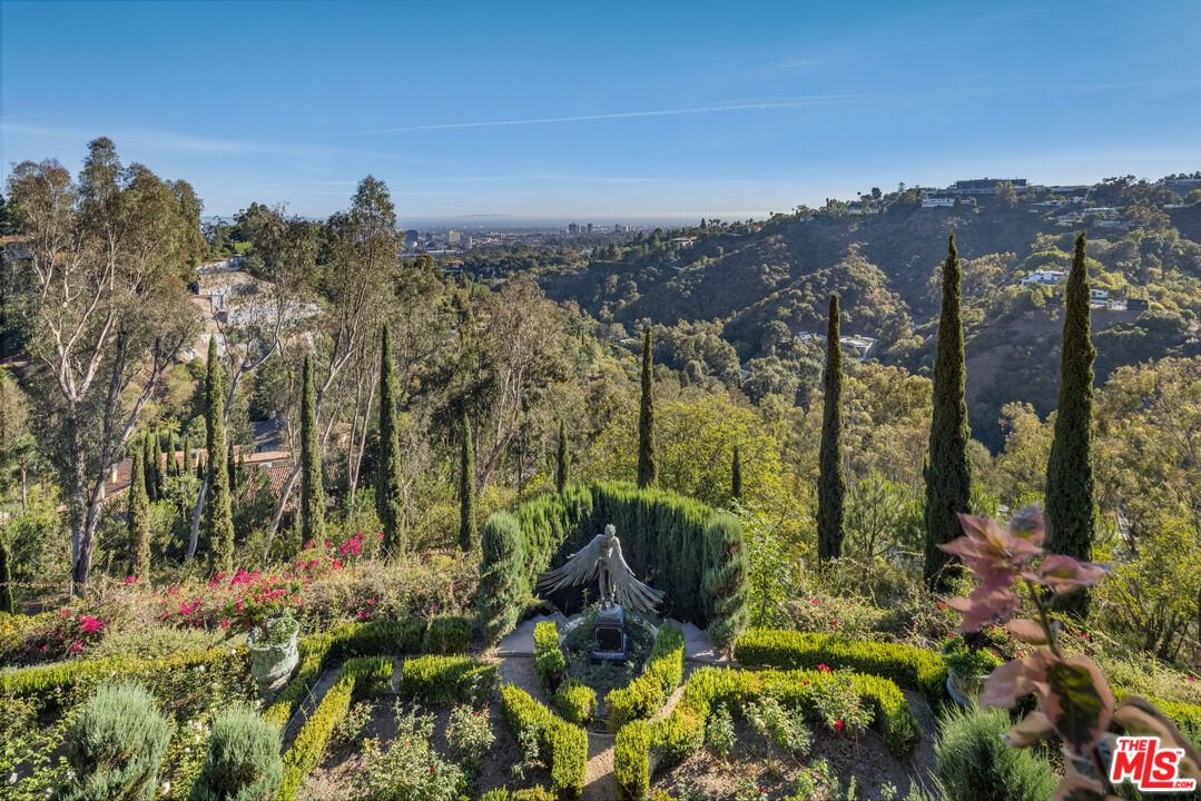 MLS #25593139 image #9