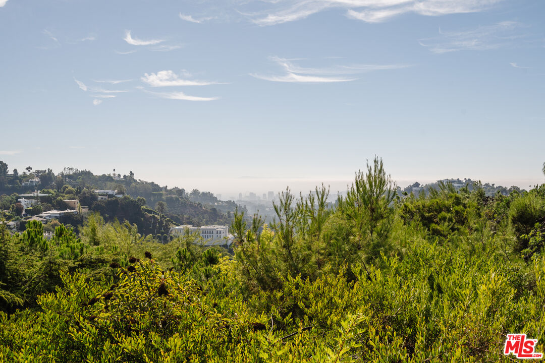 MLS #25594027 image #26