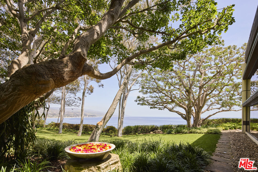 MLS #25594481 image #10