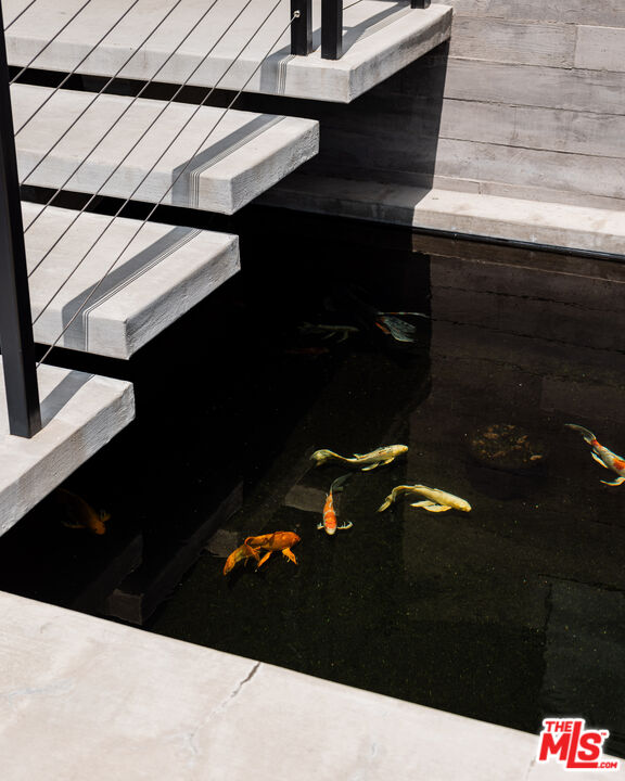 MLS #25595203 image #67