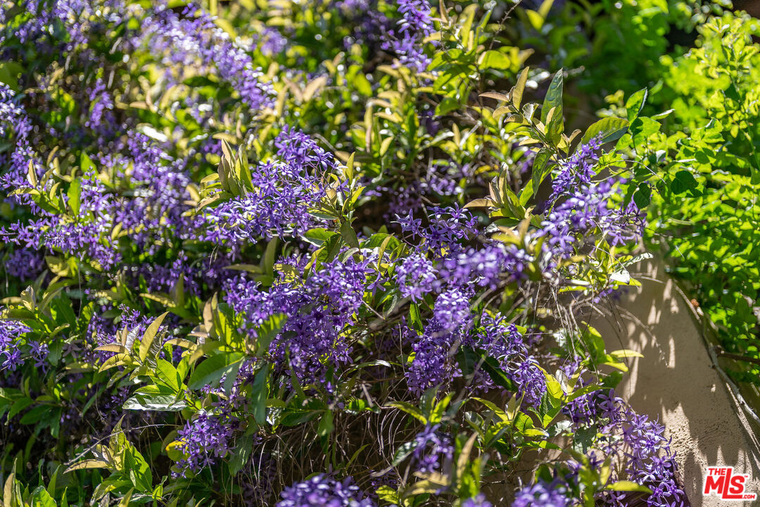 MLS #25596063 image #67