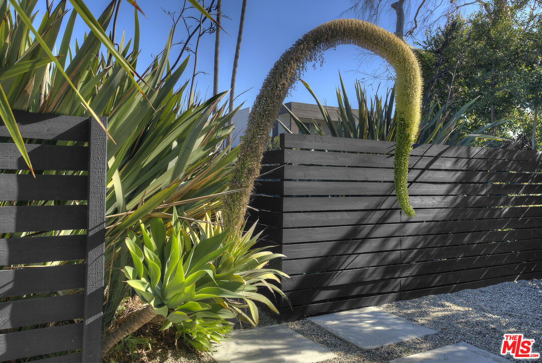 MLS #25596567 image #19