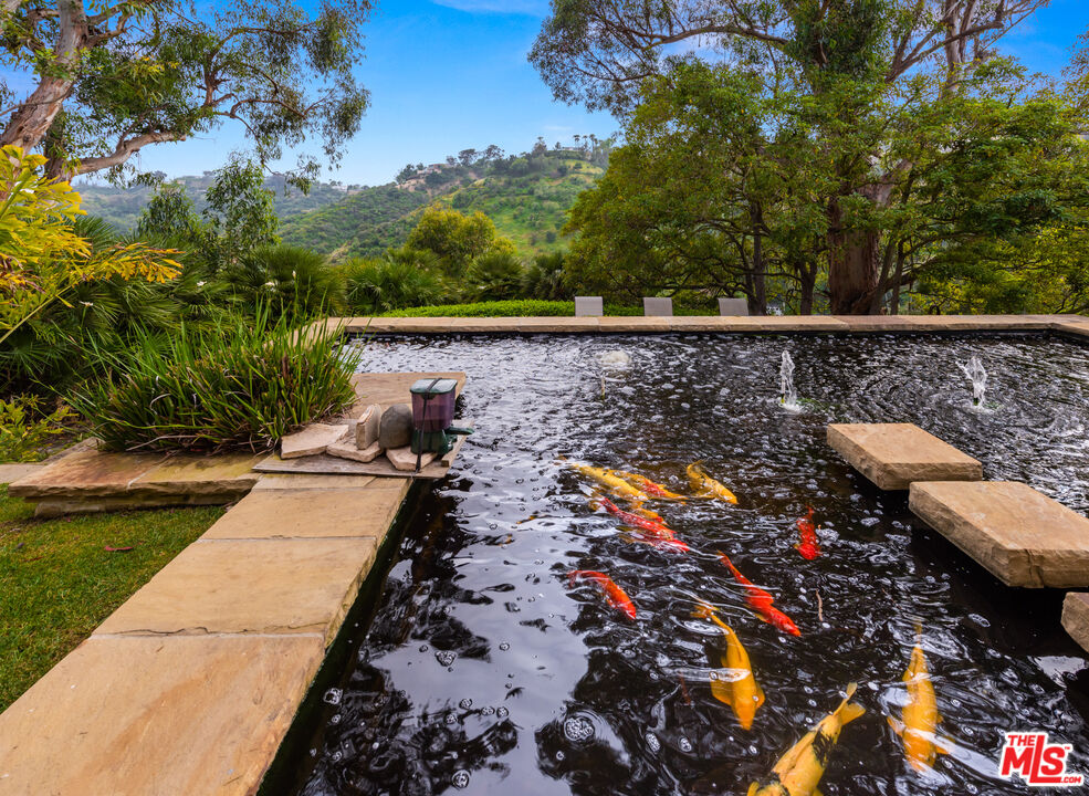 MLS #25597619 image #44