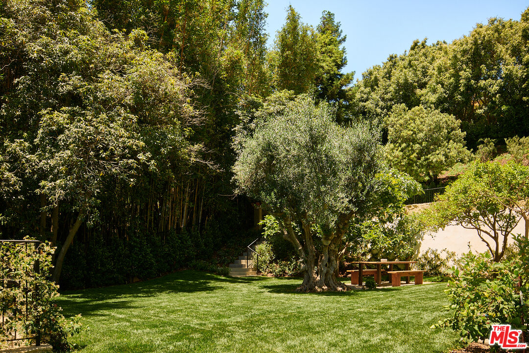 MLS #25597735 image #17