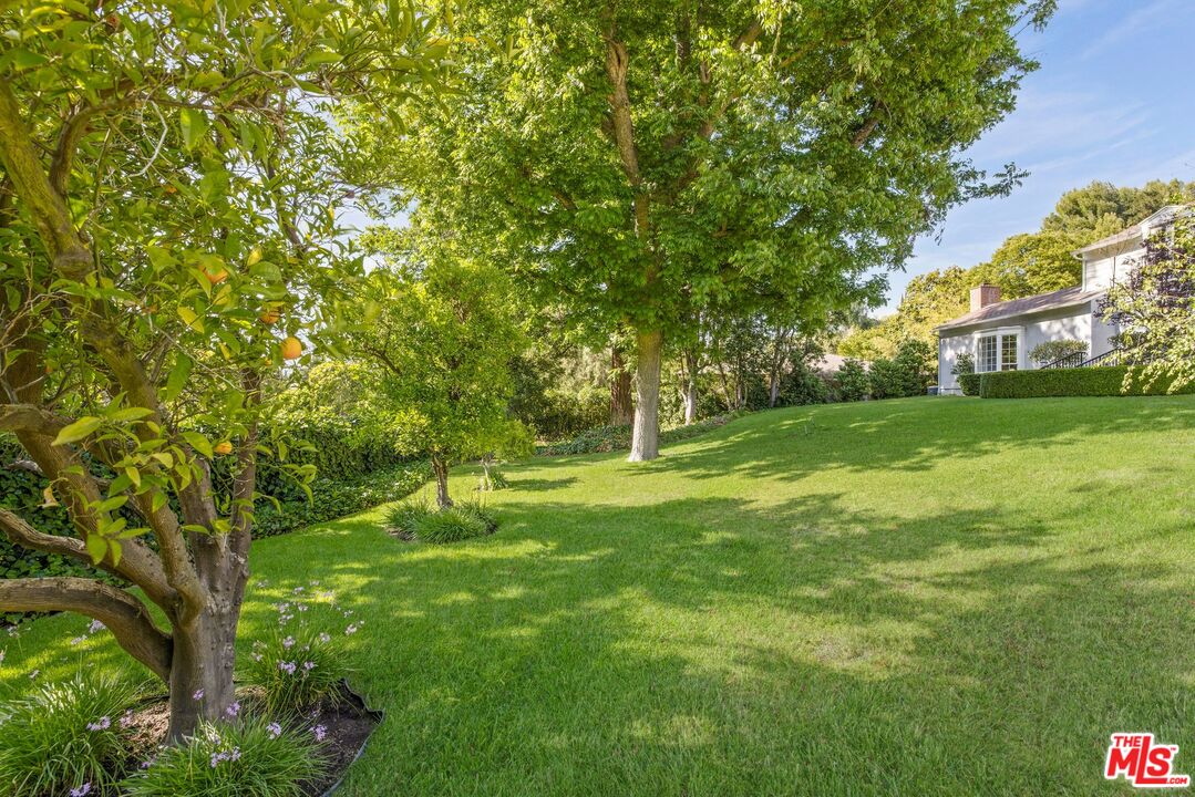 MLS #25598033 image #4