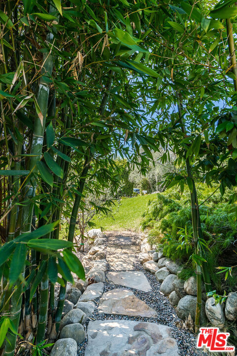 MLS #25599755 image #61