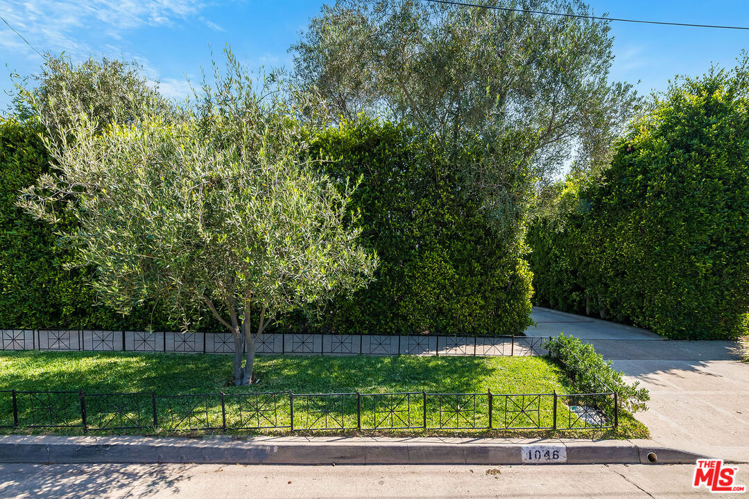 MLS #25599755 image #62