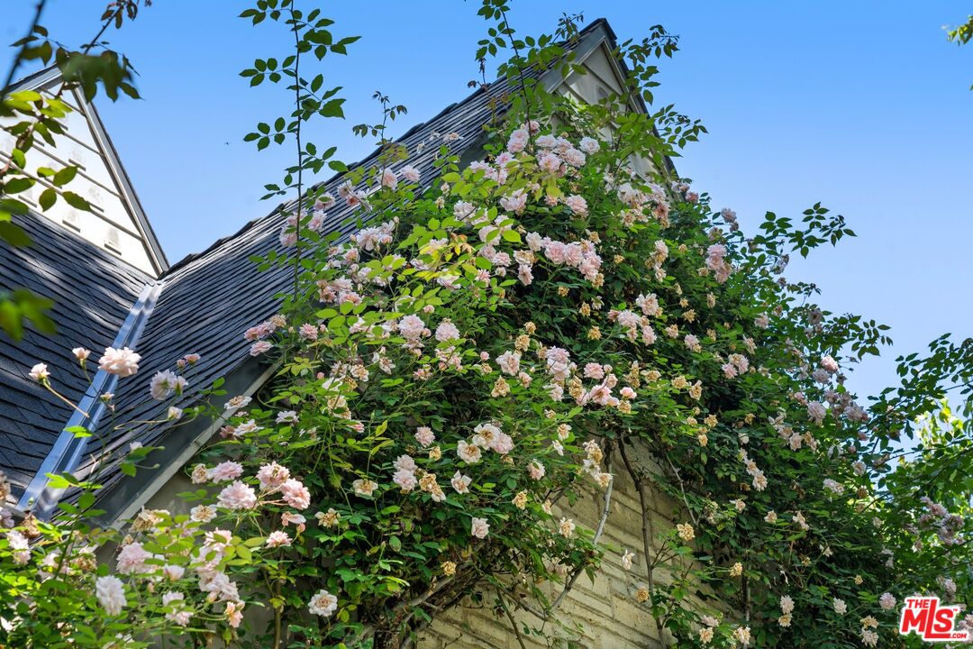 MLS #25602377 image #50