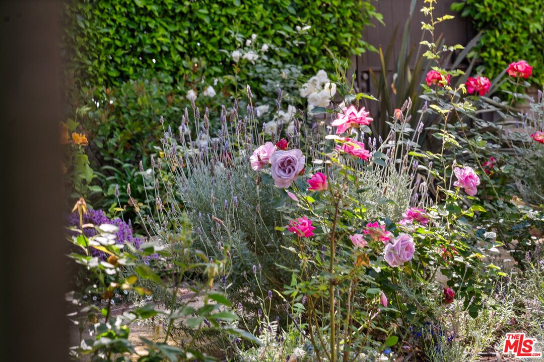 MLS #25602377 image #53