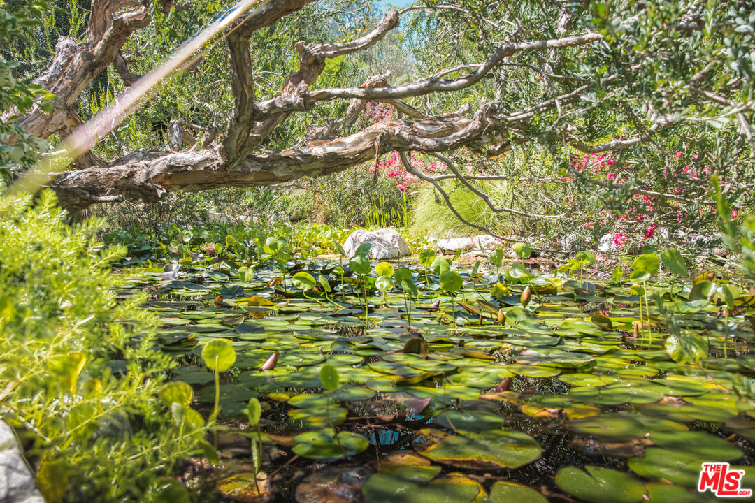 MLS #25604233 image #37