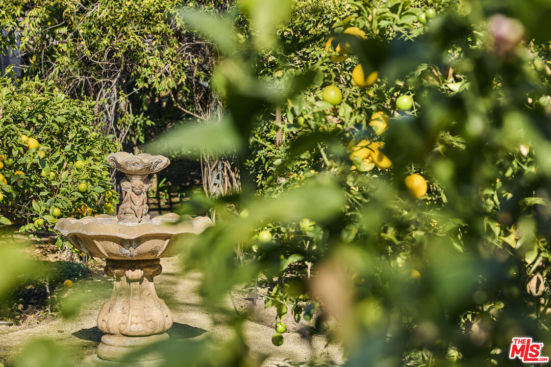 MLS #25606127 image #26