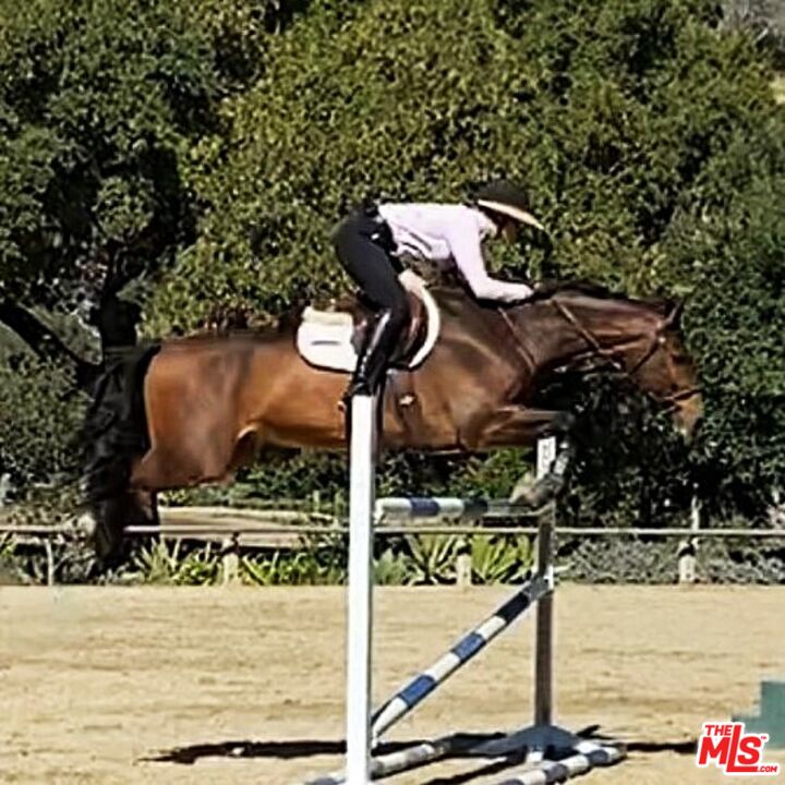 MLS #25608187 image #12