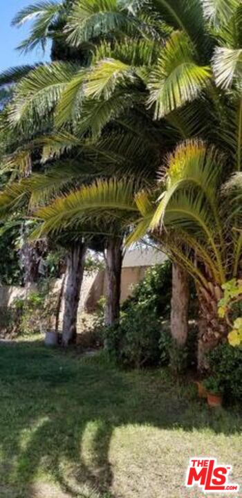 MLS #25608209 image #21