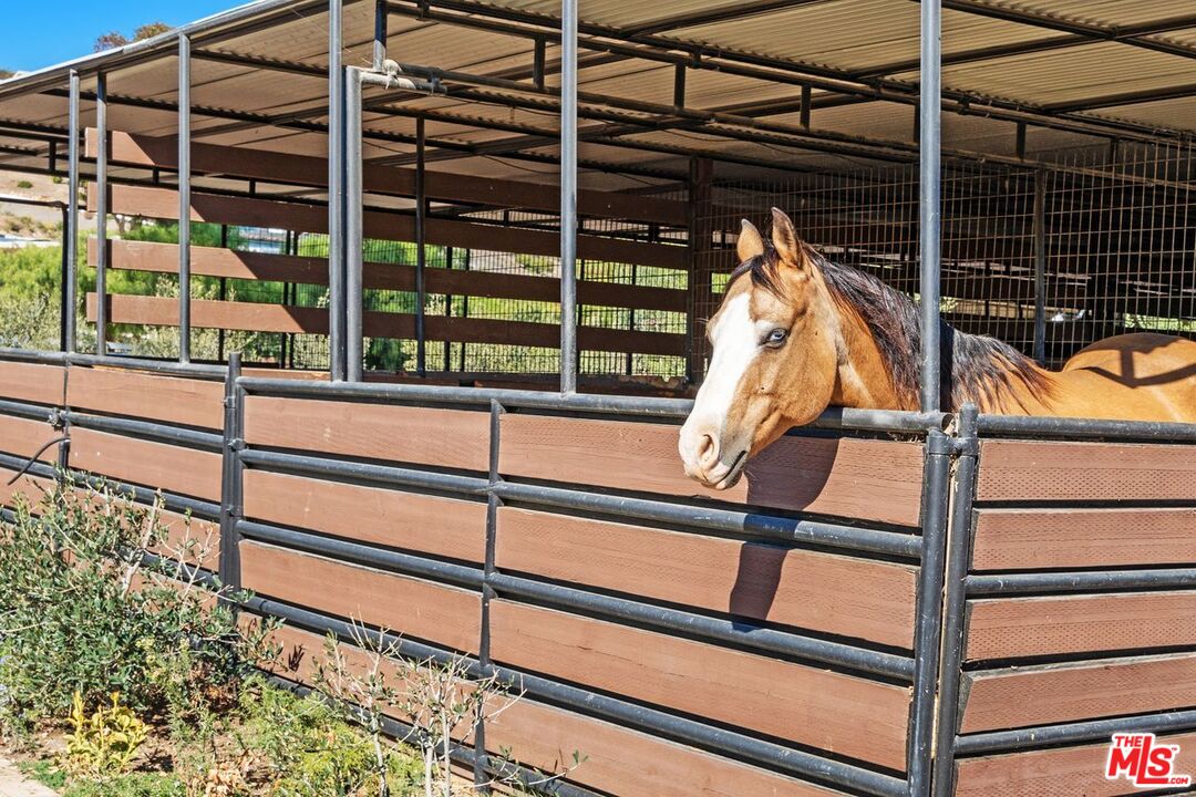 MLS #25608771 image #23