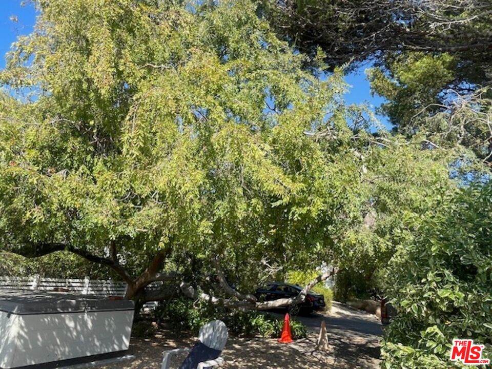 MLS #25610133 image #13