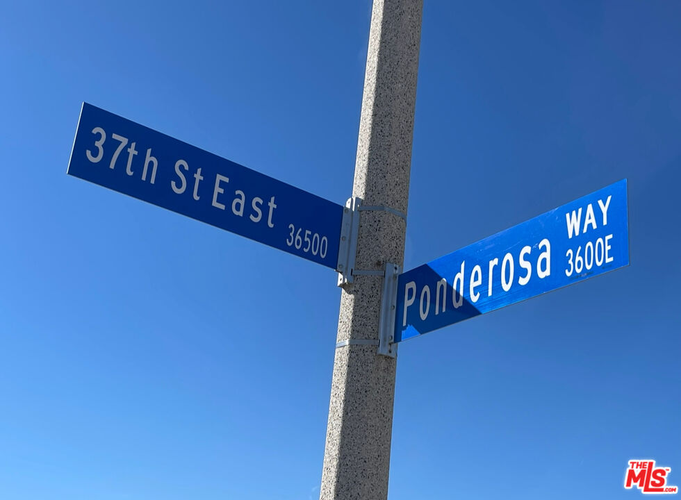 MLS #25610595 image #8