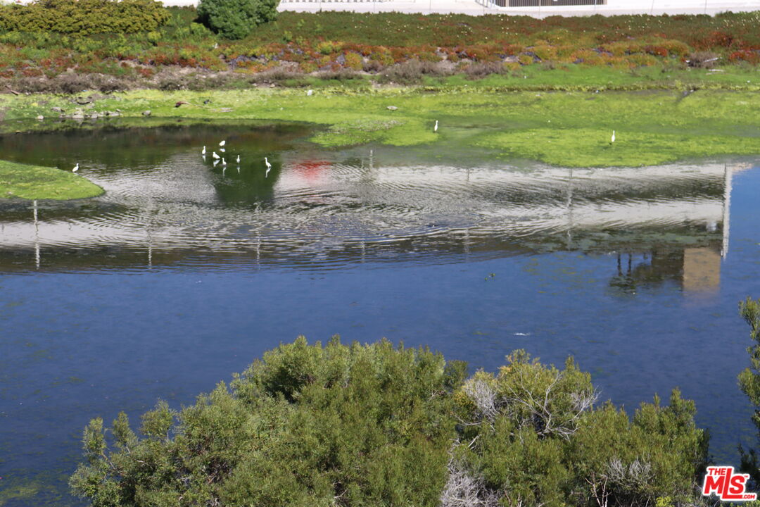 MLS #25610865 image #46