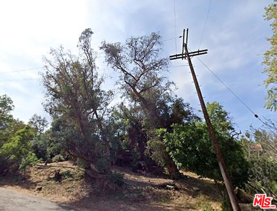 MLS #25610955 image #5